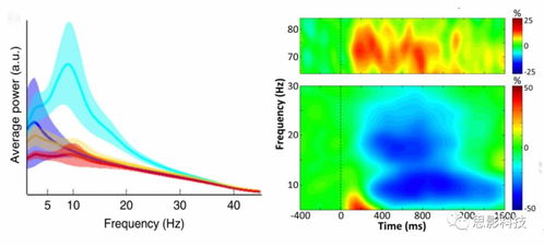 腦磁圖（MEG）數(shù)據(jù)處理服務(wù) 邁向神經(jīng)科學(xué)深海的精準(zhǔn)航標(biāo)